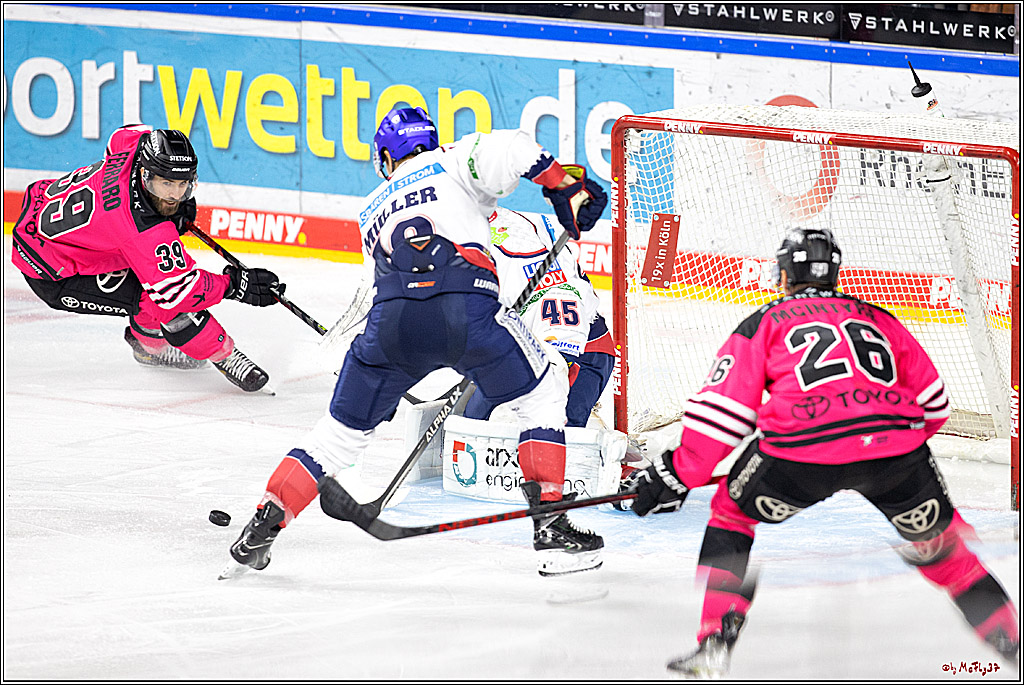 PENNY DEL;  Kölner Haie - Eisbären Berlin; Köln, 16.10.2022